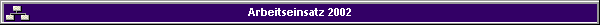 Arbeitseinsatz 2002